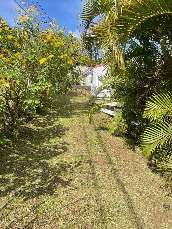 Joyaux De Tivoli Villa Fort-de-France Zewnętrze zdjęcie